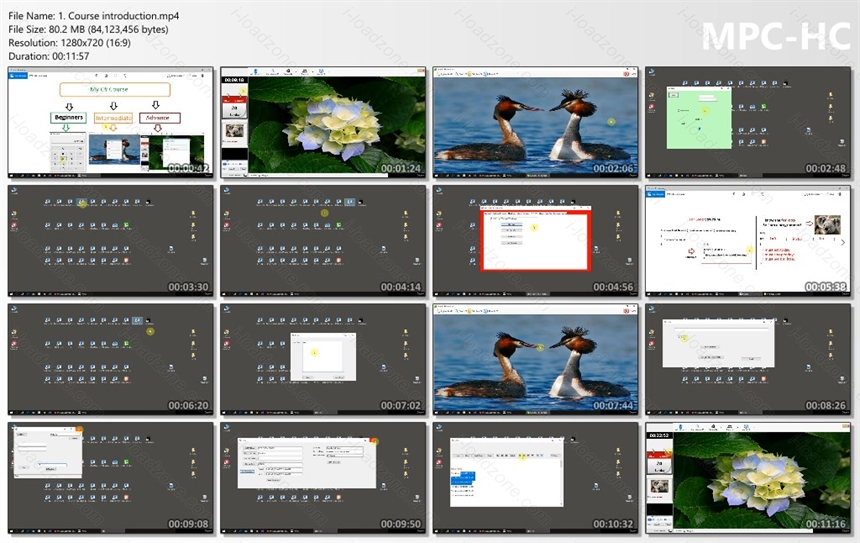 Fast C# by windows form pro apps