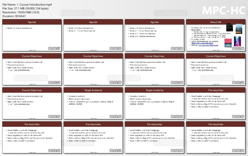 INE - Windows Process Injection for Red-Blue Teams